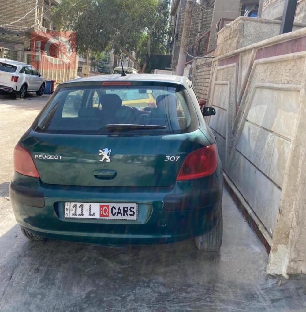 بيجو 307